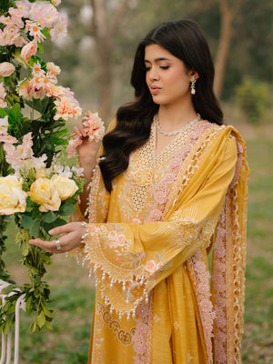 104 - A | BIN ILYAS LUXURY 3-PC LAWN Binilyas