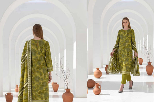 Gulabo By Bin Noor Fab 3 Pc Lawn (10 Suits)