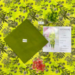 ORIGINAL BRAND BIN NOOR FAB 2PC DIGITAL PRINT LAWN 12 SUITS A